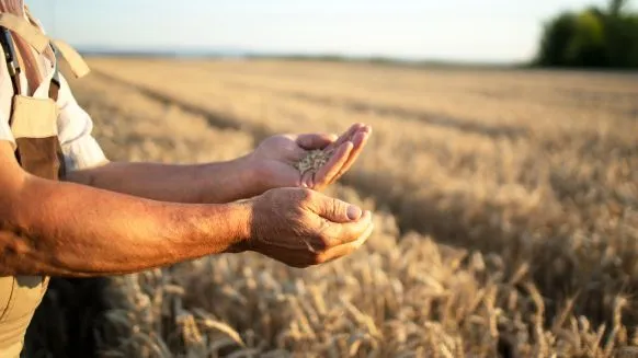 L'accord du bailleur peut-il primer sur l'interdiction de céder un bail rural ? - Crédit photo : © @freepik