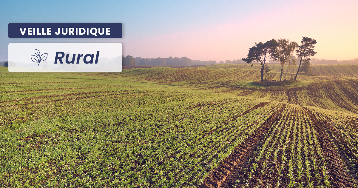 RURAL – Bail rural annulé pour cause de nullité : quelles conséquences sur la demande d’indemnités d’amélioration ? 