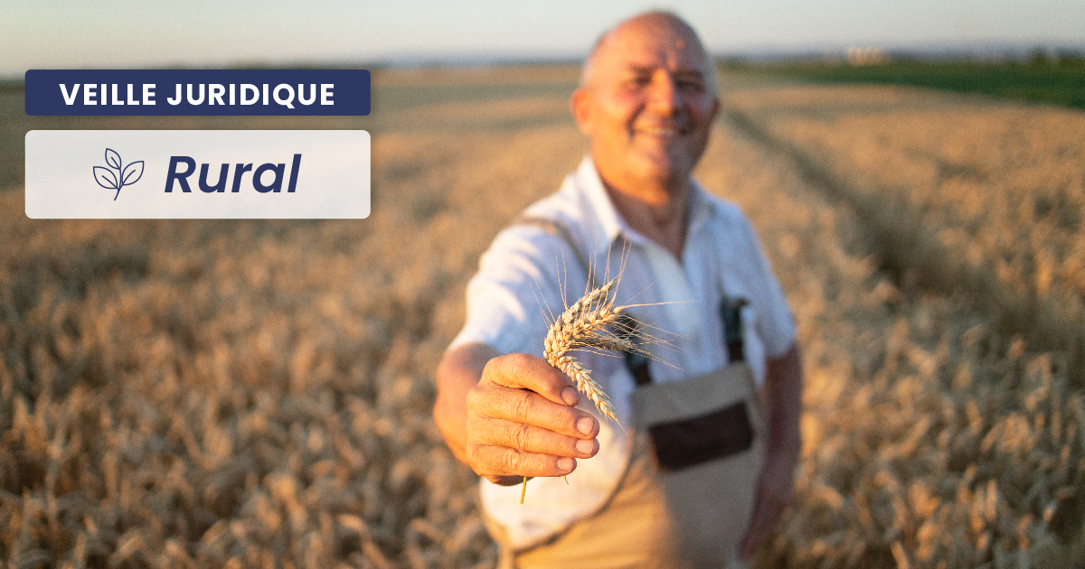 RURAL – Baux ruraux successifs non enregistrés : lequel est opposable ?