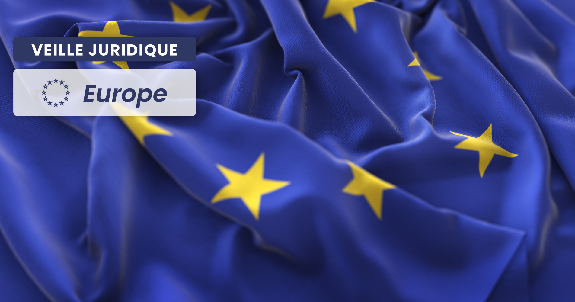 EUROPÉEN – Inapplication de la règle de la concentration des moyens à l’autorité de la chose jugée en France d’une décision étrangère